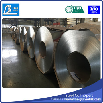 Dx51d Zinc Coated Hot Dipped Galvanized Steel Coil